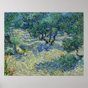 Poster Vincent van Gogh - Olival: Céu Azul Brilhante