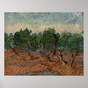 Poster Vincent van Gogh - Olive Grove