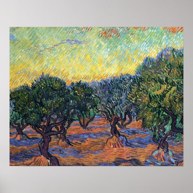 Pôster Vincent Van Gogh Olive Grove Impressionismo Arte (Frente)