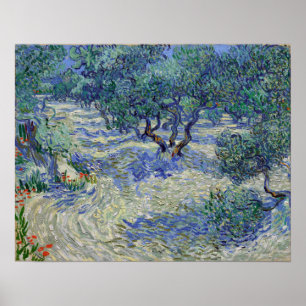 Poster Vincent van Gogh Olive Orchard