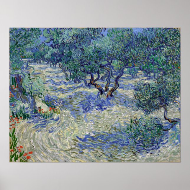 Poster Vincent van Gogh Olive Orchard (Frente)