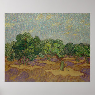 Pôster Vincent van Gogh - Oliveiras