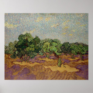 Poster Vincent van Gogh - Oliveiras