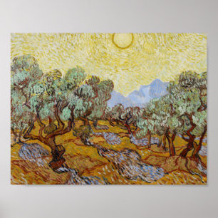 Pôster Vincent van Gogh - oliveiras