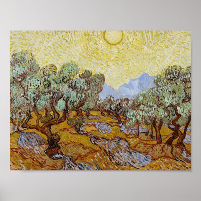 Pôster Vincent van Gogh - Oliveiras (Frente)