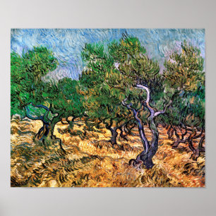 Pôster Vincent Van Gogh - Oliveiras Arte Fina