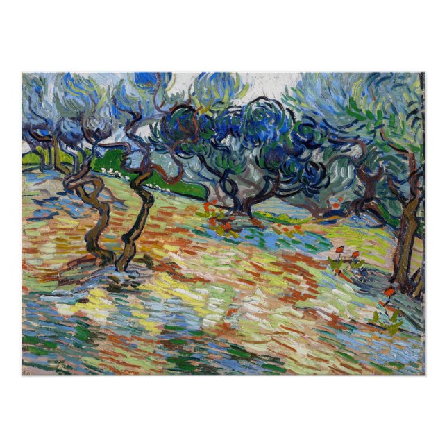 Pôster Vincent van Gogh - Oliveiras: Céu azul brilhante (Frente)