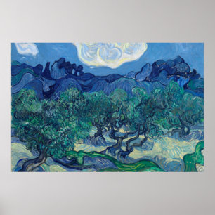 Poster Vincent Van Gogh - Oliveiras com Alpilles