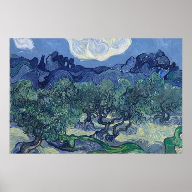 Poster Vincent Van Gogh - Oliveiras com Alpilles (Frente)