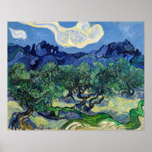 Poster Vincent van Gogh - Oliveiras com os Alpilles