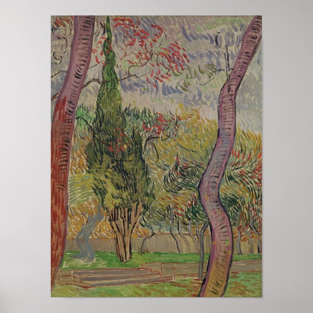 Pôster Vincent van Gogh | Parque do Santo-Paul (Frente)