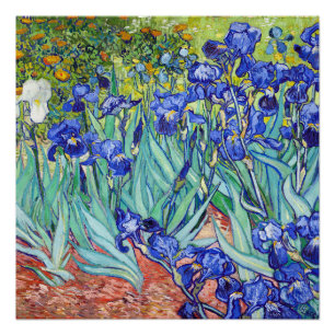 Pôster Vincent Van Gogh pintando Íris