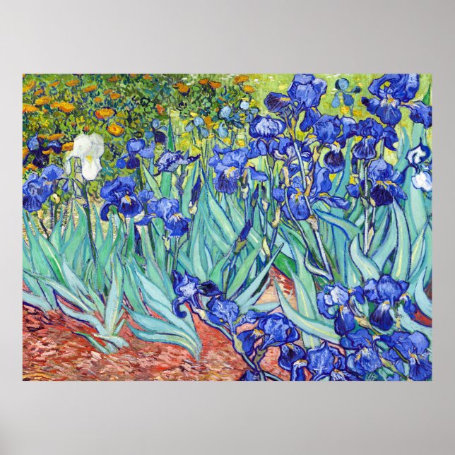 Poster Vincent Van Gogh pintando Íris (Frente)
