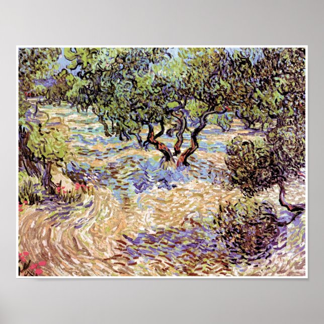 Poster Vincent Van Gogh - Pomar de Oliveiras Arte Refinad (Frente)