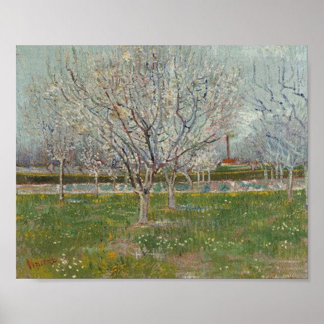 Poster Vincent van Gogh - Pomar em Flor  (Frente)