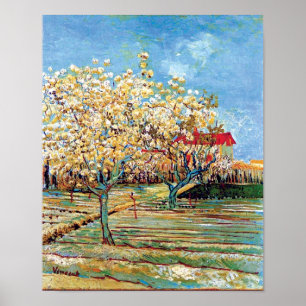 Pôster Vincent Van Gogh - Pomar em Flor Arte Fino