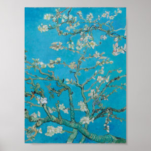 Poster Vincent Van Gogh - Ramificações com Flor de Amêndo
