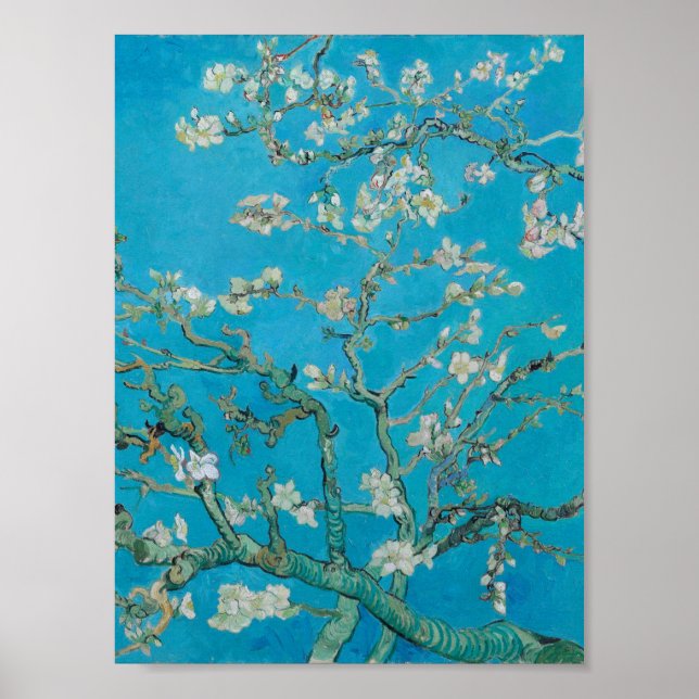Poster Vincent Van Gogh - Ramificações com Flor de Amêndo (Frente)