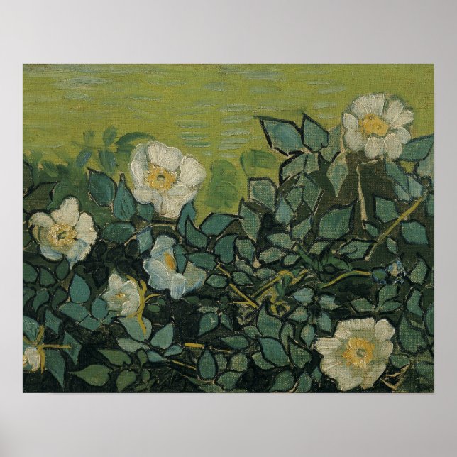 Pôster Vincent van Gogh - Rosas selvagens (Frente)