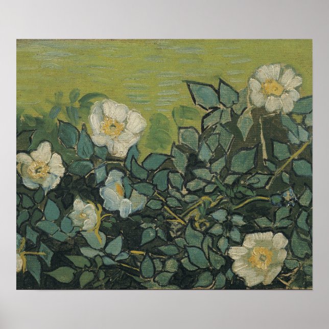 Poster Vincent Van Gogh - rosas selvagens abril, maio (Frente)