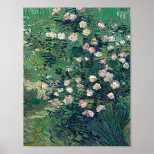 Poster Vincent van Gogh - Rosebush na flor