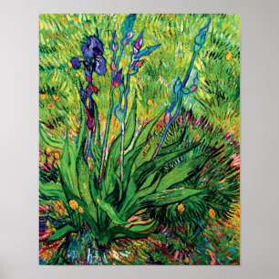 Poster Vincent Van Gogh - The Iris - Flower Lover Pop Art