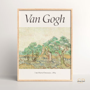 Poster Vincent van Gogh Women Picting Olives Art Impressã