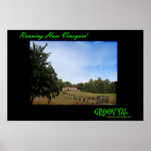 Poster Vineyard de Raça