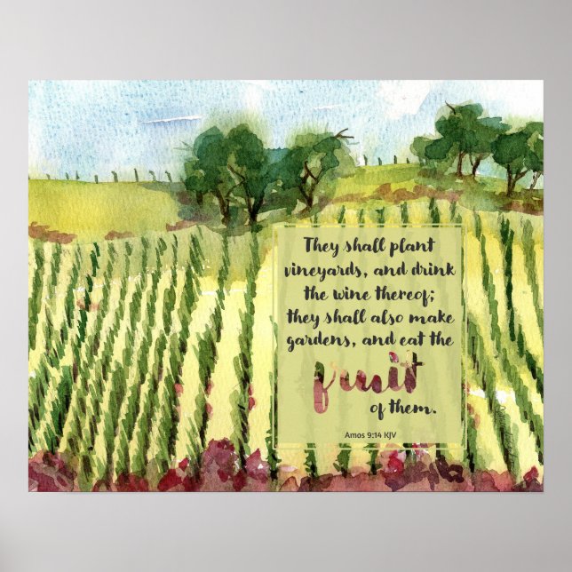 Poster Vineyard Scripture Amos Wine Grapes Watercolor (Frente)