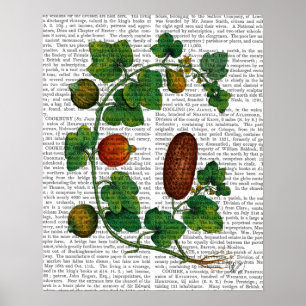 Pôster Vinha-de-vidro 3