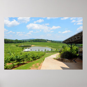 Poster Vinha do Norte do País do Vinho da Geórgia