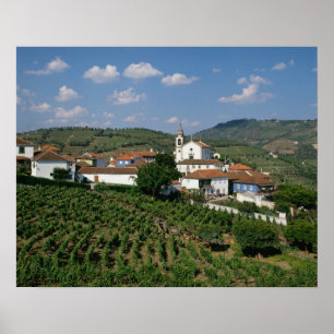 Poster Vinhas, Aldeia de São Miguel, Douro