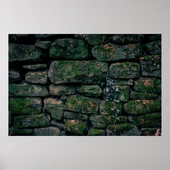 Poster Vinhas castanhas em blocos de pedra empilhados (Frente)