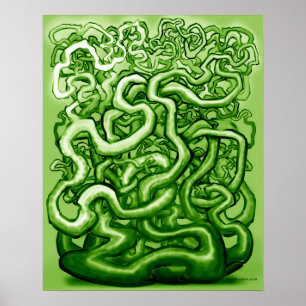 Poster Vinhas torcidas