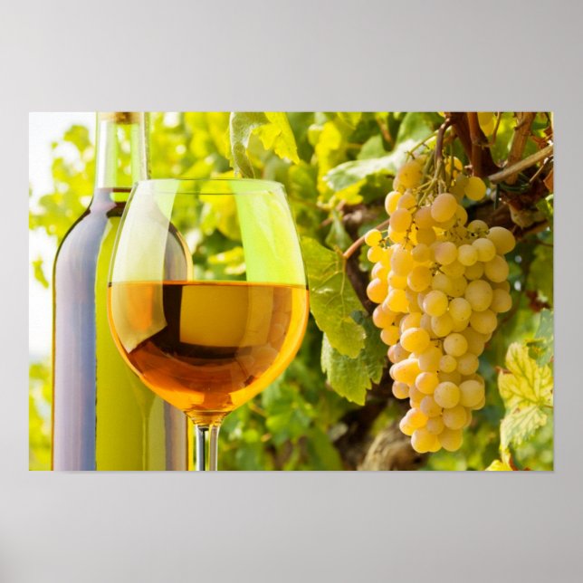 Poster Vinho Branco E Uvas (Frente)