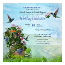 Vinhos-de-vidro, aspiradores de mel e aves-de-gali