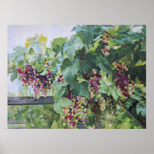 Poster Vinícola do Vale do Loire – Pintura de Uvas France