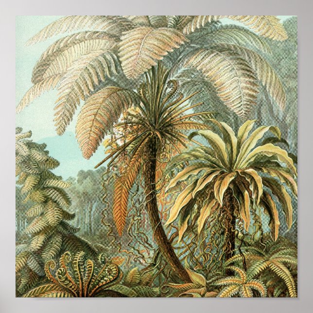 Poster vintage (Frente)