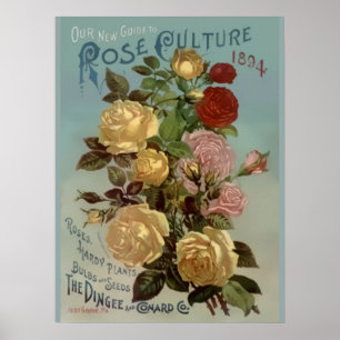 Pôster Vintage 1894 Guide to Rosa Culture