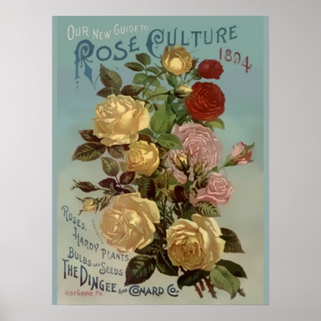 Pôster Vintage 1894 Guide to Rosa Culture (Frente)
