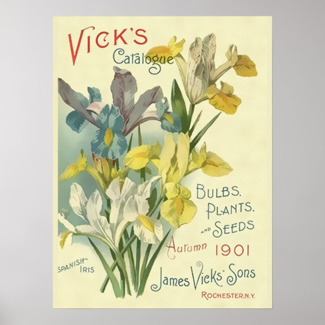 Poster Vintage 1901 Vick's Seed & Plant Catalog (Frente)