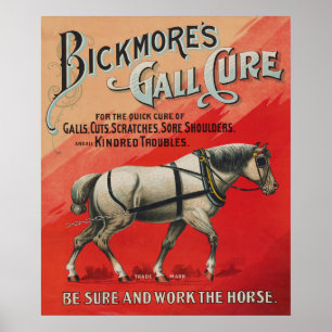 Poster Vintage Ad for Bickmore Gall Cure for Horses.