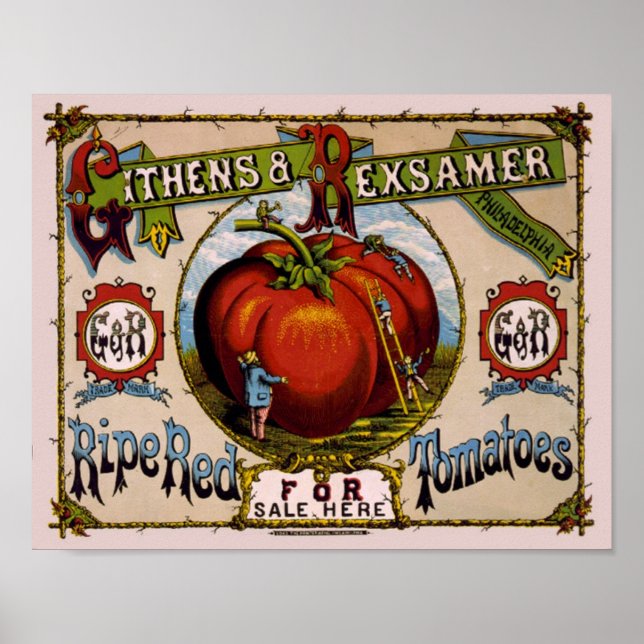 Poster Vintage Advertisement Ripe tomate vermelho (Frente)