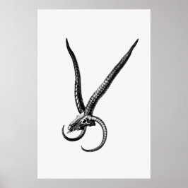 Poster Vintage Animal Skull