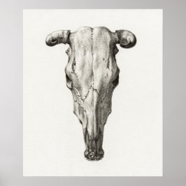 Poster Vintage Animal Skull