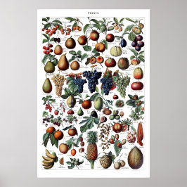 Poster Vintage Antique Fruta francês