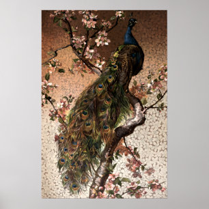 Poster Vintage Art Nouveau Peacock em Flor Tree