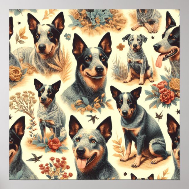 Poster Vintage Australian Cattle Seless (Frente)