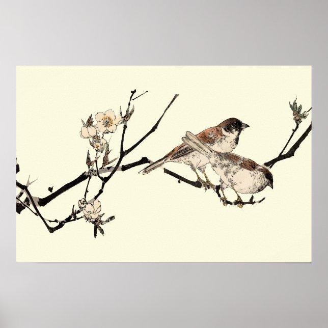 Poster Vintage Aves Japonesas E Blossomas De Cereja (Frente)