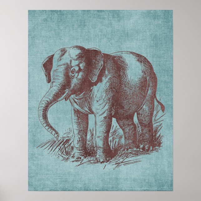 Poster Vintage Baby Elephant (Frente)